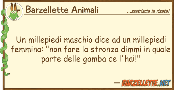 Barzellette Animali millepiedi maschio dice millepi