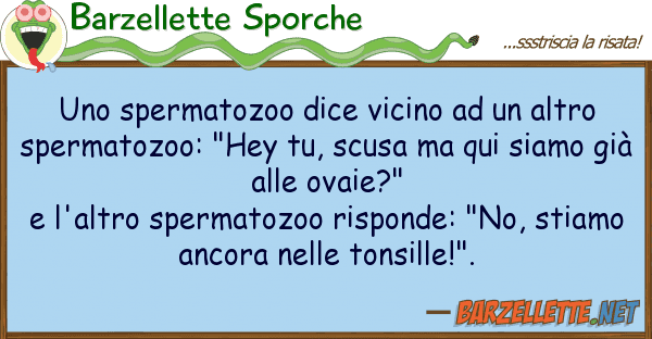 Barzellette Sporche spermatozoo dice vicino altro