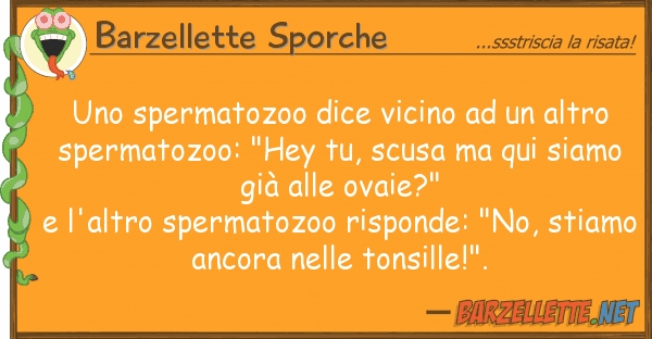 Barzellette Sporche spermatozoo dice vicino altro