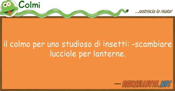 Colmi colmo studioso insetti: -s