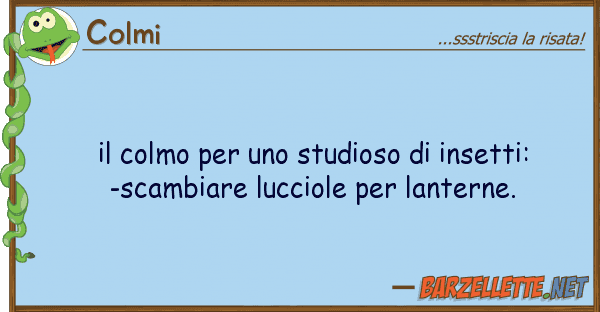 Colmi colmo studioso insetti: -s