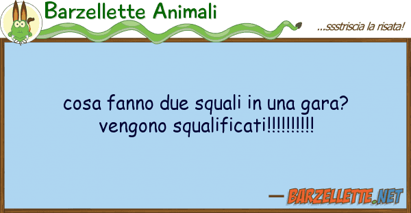 Barzellette Animali cosa fanno due squali gara? vengo