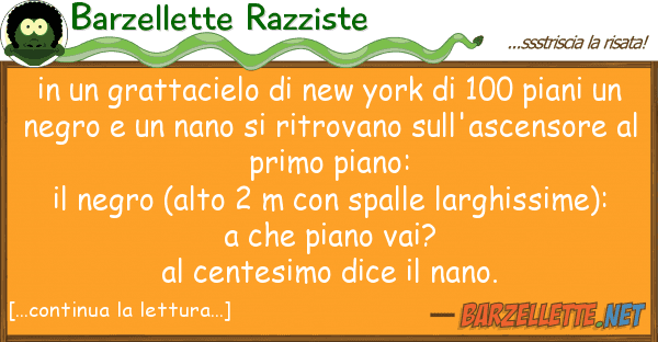 Barzellette Razziste grattacielo new york 100 pia