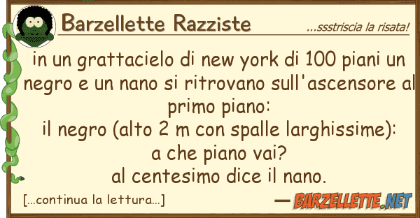Barzellette Razziste grattacielo new york 100 pia