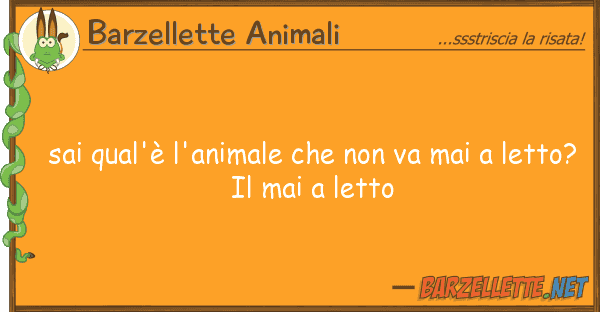 Barzellette Animali sai qual'è l'animale va mai