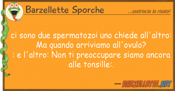 Barzellette Sporche sono due spermatozoi chiede all'a