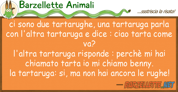 Barzellette Animali sono due tartarughe, tartaruga pa