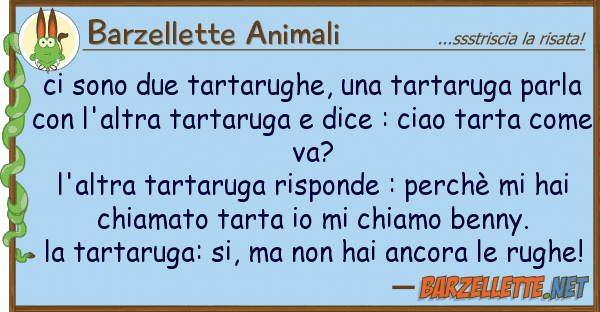Barzellette Animali sono due tartarughe, tartaruga pa