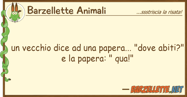 Barzellette Animali vecchio dice papera... "dove