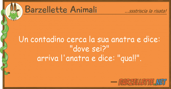 Barzellette Animali contadino cerca anatra dice: