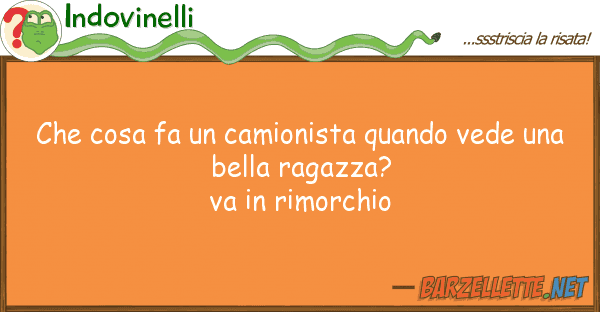 Indovinelli cosa fa camionista quando vede