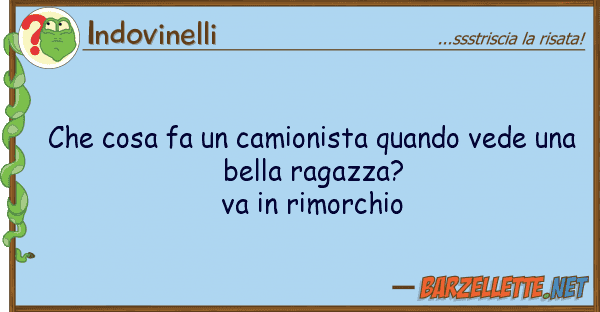 Indovinelli cosa fa camionista quando vede