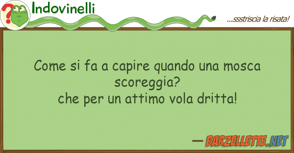 Indovinelli fa capire quando mosca sco