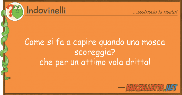 Indovinelli fa capire quando mosca sco