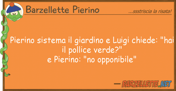 Barzellette Pierino pierino sistema giardino luigi chie