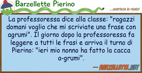 Barzellette Pierino professoressa dice classe: "raga