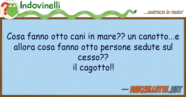 Indovinelli cosa fanno otto cani mare?? canott