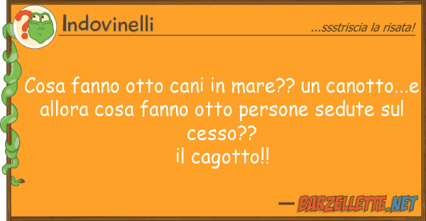 Indovinelli cosa fanno otto cani mare?? canott