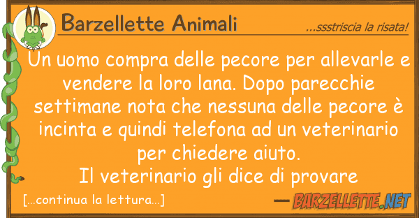 Barzellette Animali uomo compra pecore allevarl