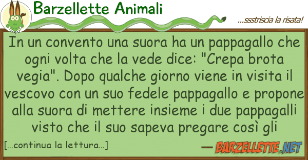 Barzellette Animali convento suora ha pappagall