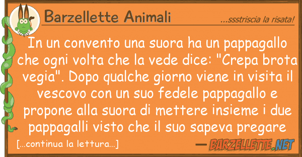 Barzellette Animali convento suora ha pappagall
