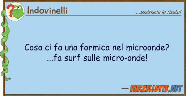 Indovinelli cosa fa formica microonde?...
