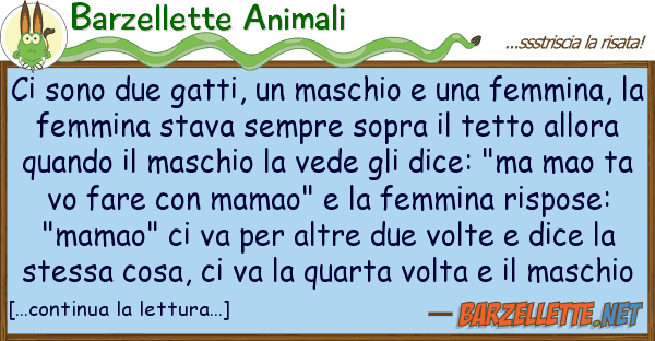 Barzellette Animali sono due gatti, maschio femm