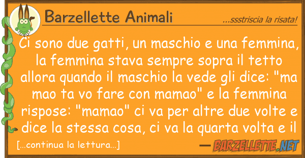 Barzellette Animali sono due gatti, maschio femm