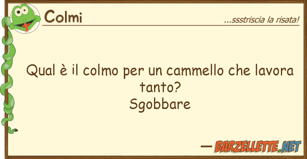 Colmi qual è colmo cammello lav