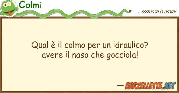 Colmi qual è colmo idraulico? avere