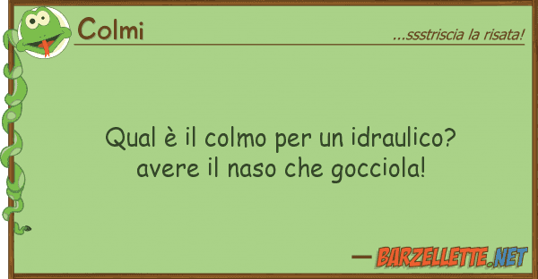 Colmi qual è colmo idraulico? avere