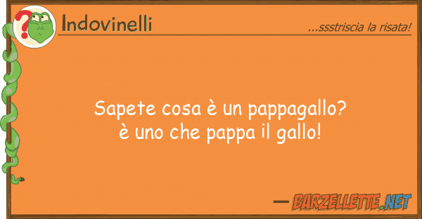 Indovinelli sapete cosa è pappagallo? è