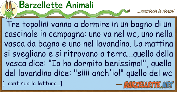 Barzellette Animali tre topolini vanno dormire bagno