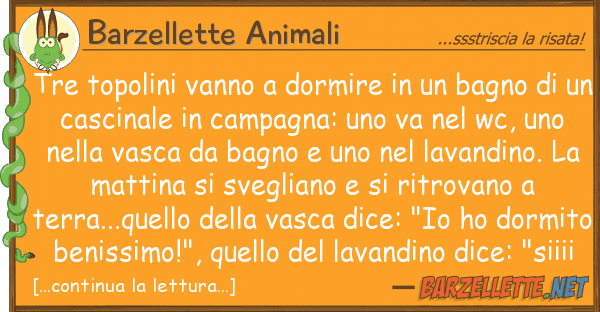 Barzellette Animali tre topolini vanno dormire bagno