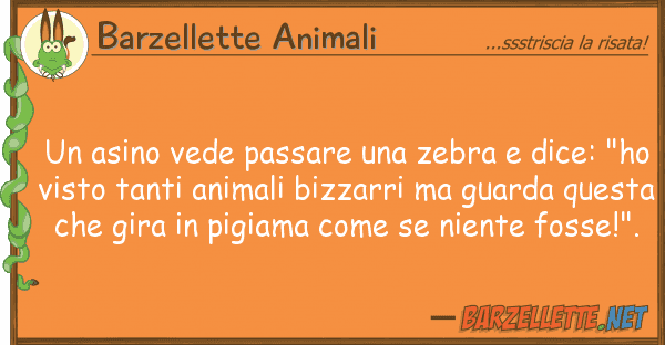 Barzellette Animali asino vede passare zebra dice: