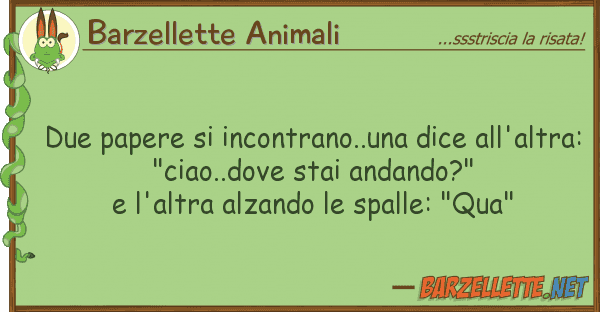 Barzellette Animali due papere incontrano..una dice all'a