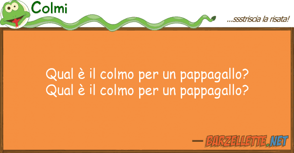 Colmi qual è colmo pappagallo? qua