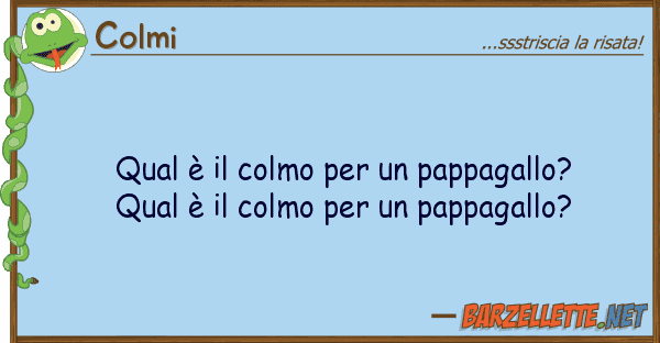 Colmi qual è colmo pappagallo? qua