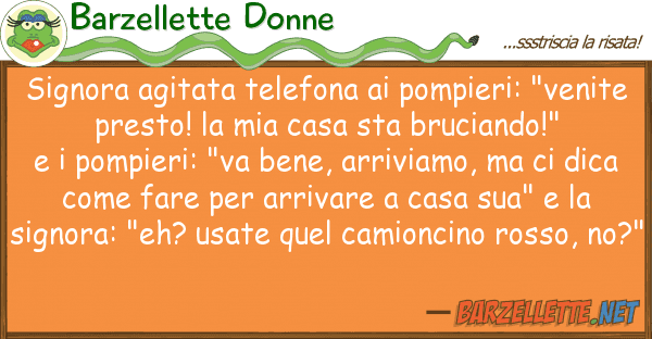 Barzellette Donne signora agitata telefona pompieri: "v