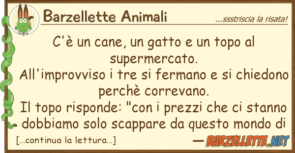 Barzellette Animali c'è cane, gatto topo supe