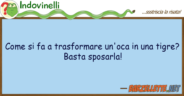 Indovinelli fa trasformare un'oca t
