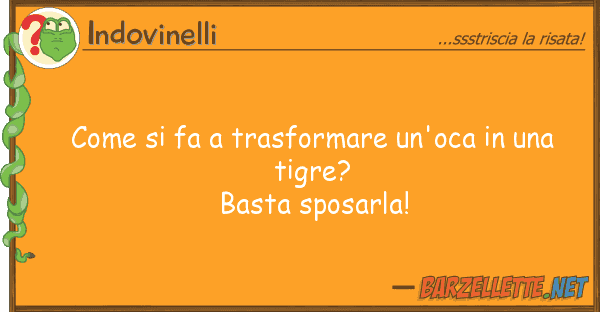 Indovinelli fa trasformare un'oca t