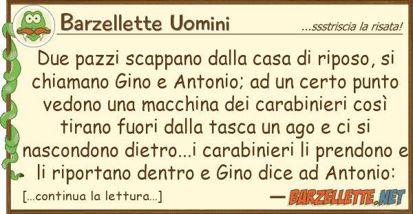 Barzellette Uomini due pazzi scappano casa riposo,