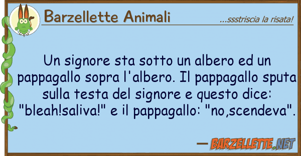 Barzellette Animali signore sta sotto albero pap