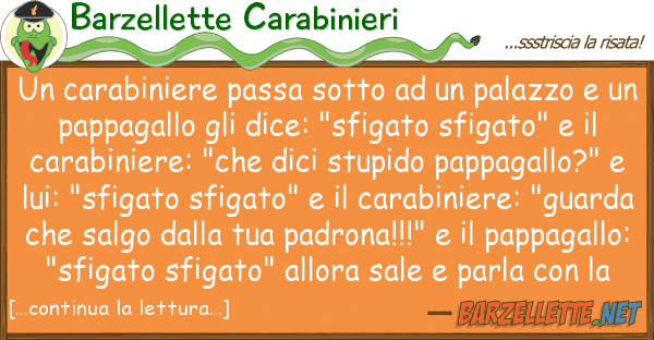 Barzellette Carabinieri carabiniere passa sotto palazzo