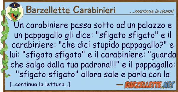 Barzellette Carabinieri carabiniere passa sotto palazzo