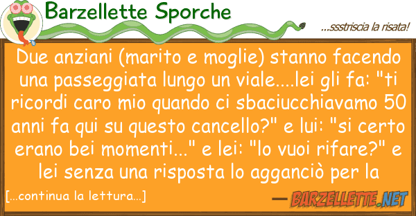 Barzellette Sporche due anziani (marito moglie) stanno fac