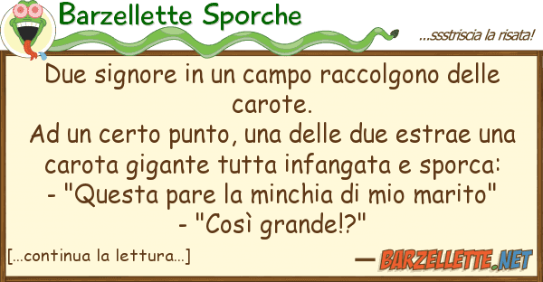 Barzellette Sporche due signore campo raccolgono