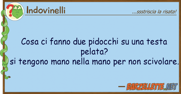 Indovinelli cosa fanno due pidocchi testa