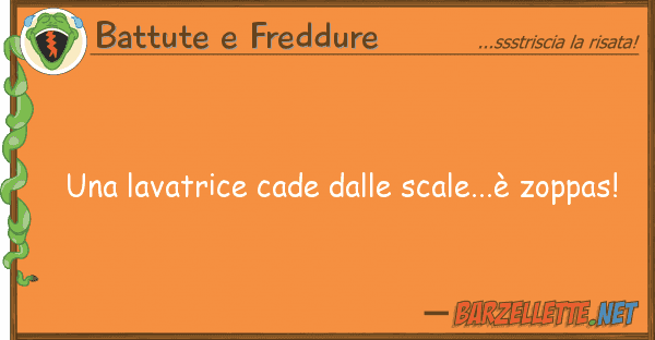Battute e Freddure lavatrice cade scale...è zopp